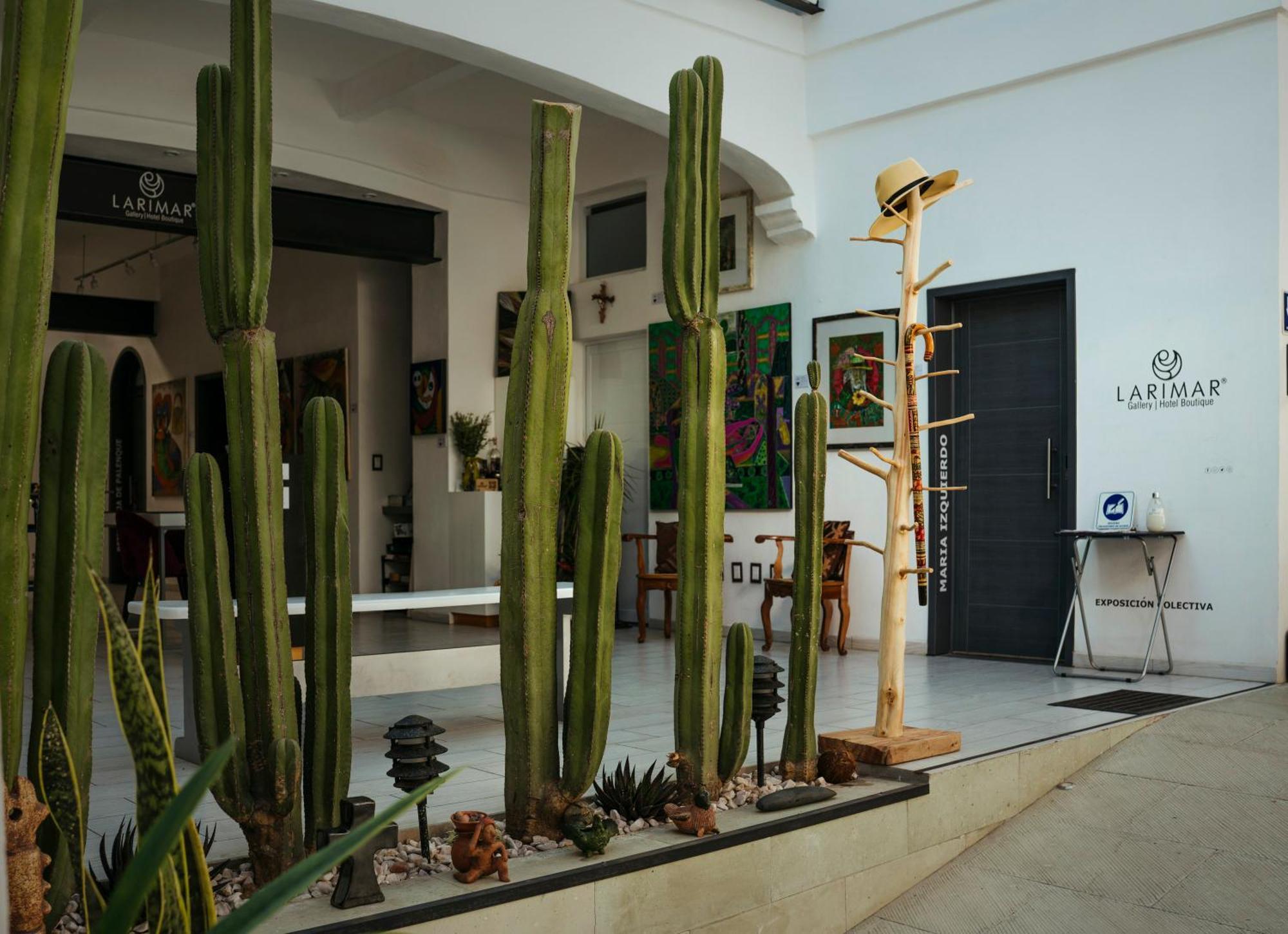 Larimar Gallery Y Hotel Boutique Oaxaca 外观 照片