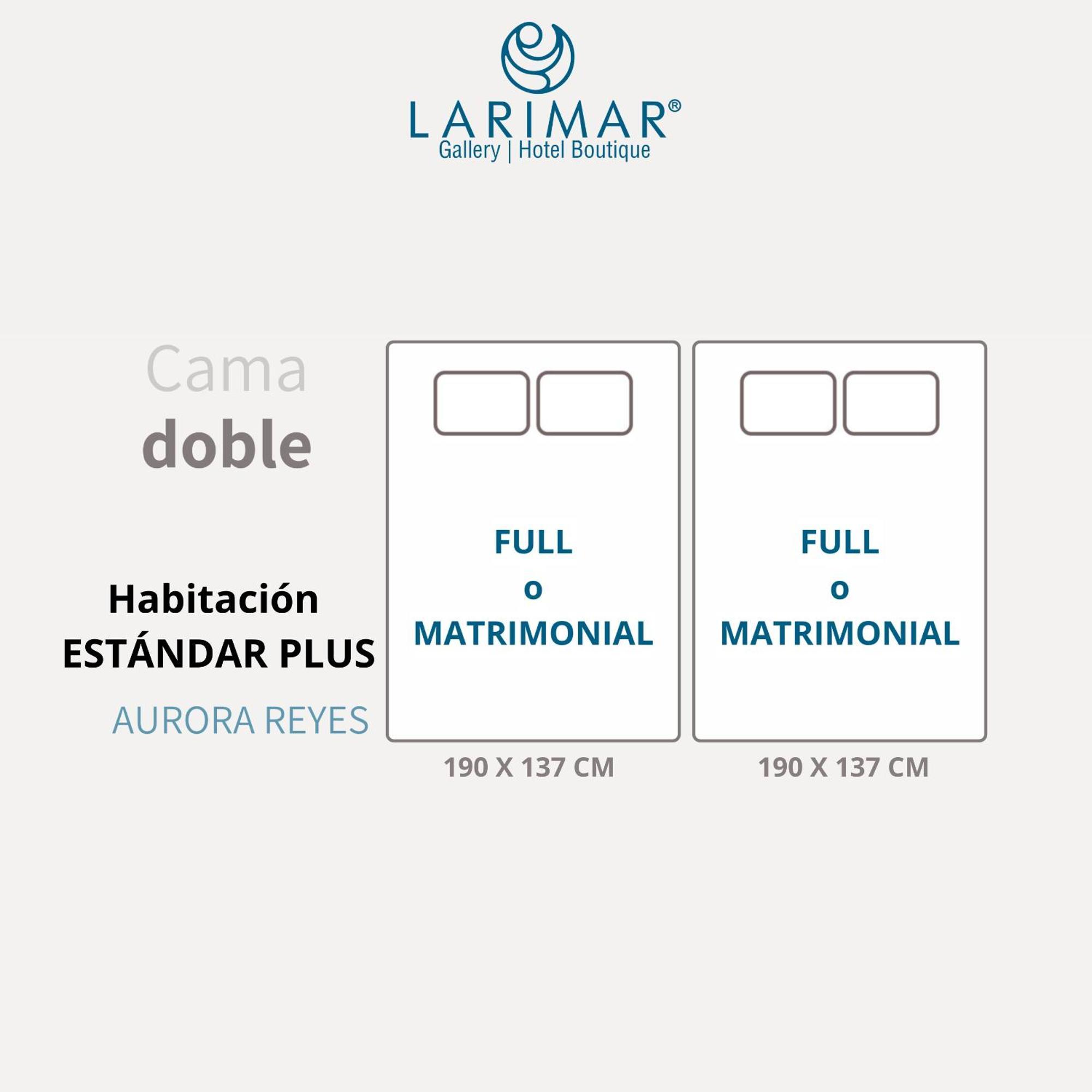 Larimar Gallery Y Hotel Boutique Oaxaca 外观 照片